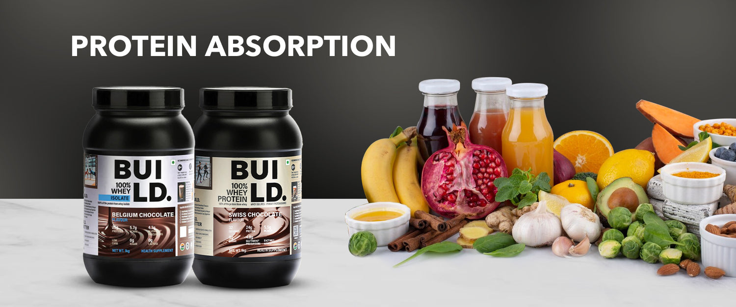 Protein Absorption Understanding the Basics for Better Nutrition