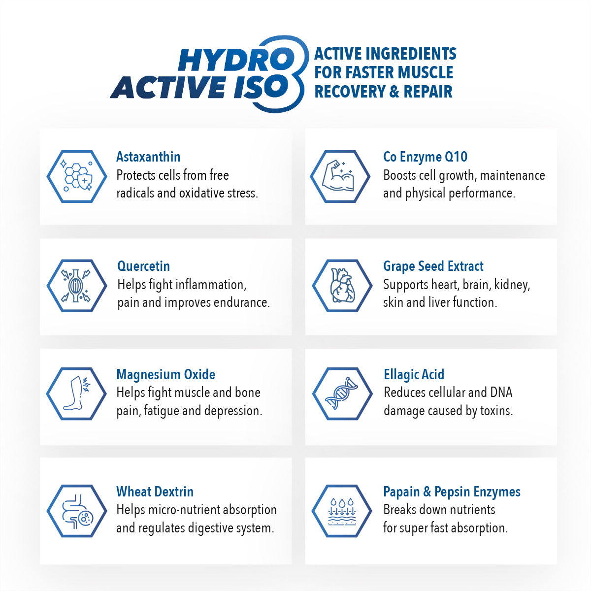 Hydro Active Iso 8 (pack of 2)